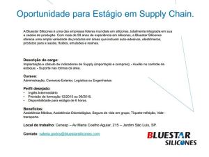 BlueStar Silicones - Estágio em Supply Chain - Engenharias